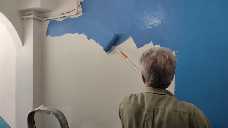 Best Drywall Removal and Disposal  in Warren, MI